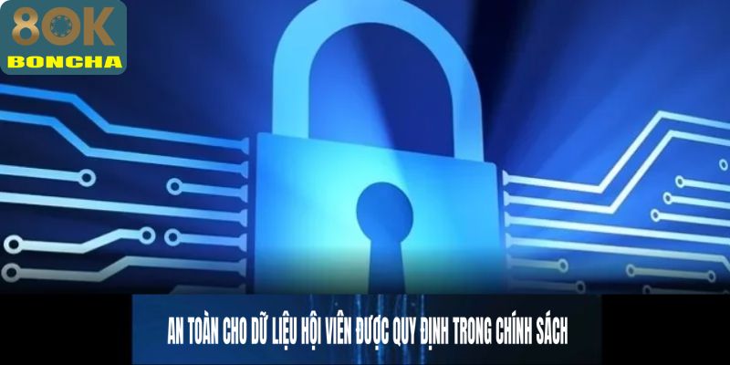 An toàn dữ liệu cho hội viên được quy định trong chính sách