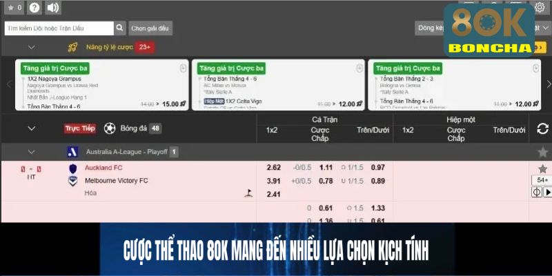 Cược thể thao 8OK mang đến nhiều lựa chọn kịch tính
