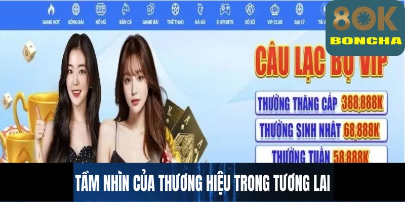 Giới thiệu 8OK - Tầm nhìn của thương hiệu trong tương lai