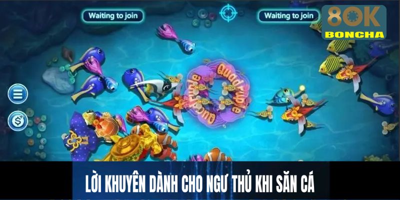Lời khuyên dành cho ngư thủ khi săn cá