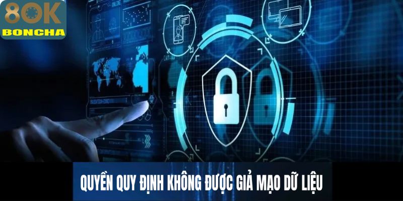 Quyền quy định không được giả mạo dữ liệu