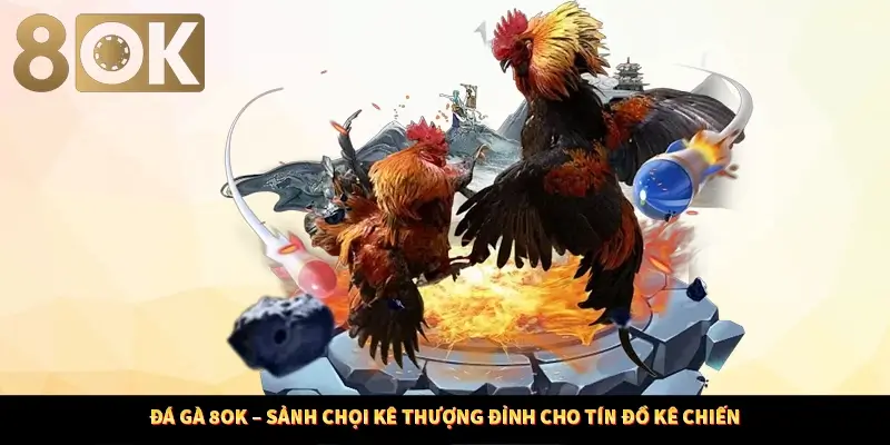Đá Gà 8OK – Sảnh Chọi Kê Thượng Đỉnh Cho Tín Đồ Kê Chiến