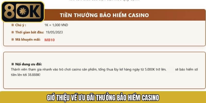 Đôi nét sơ lược về bảo hiểm cược