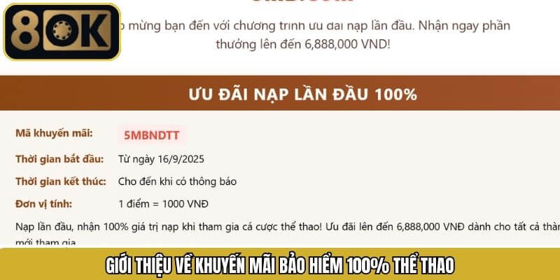 Thông tin sơ lược về chương trình bảo hiểm 100% tại sảnh thể thao