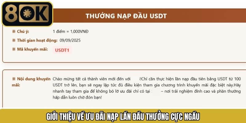Giới thiệu khái quát về ưu đãi nạp lần đầu thưởng hấp dẫn